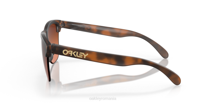 Oakley lentile prizm maro gradient, rama broasca testoasa maro mat frogskins lite ochelari 620J214