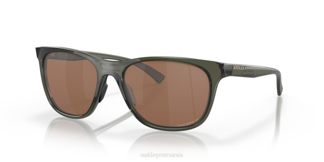 linte polarizate prizm tungsten, rama cerneala masline