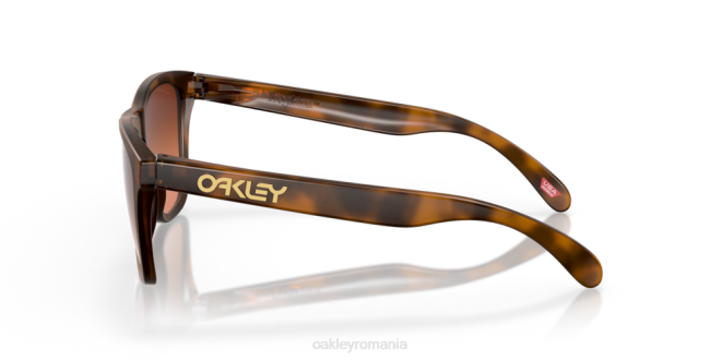 Oakley lentile prizm maro gradient, rama broasca testoasa maro mat piei de broasca (podenie joasa) ochelari 620J820