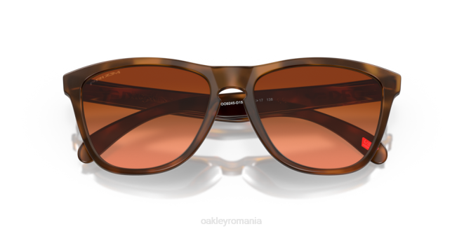 Oakley lentile prizm maro gradient, rama broasca testoasa maro mat piei de broasca (podenie joasa) ochelari 620J820