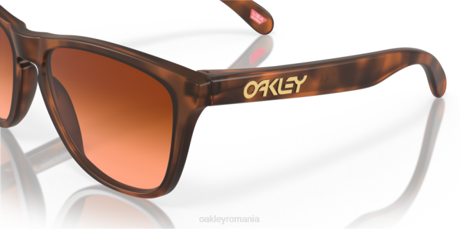 Oakley lentile prizm maro gradient, rama broasca testoasa maro mat piei de broasca (podenie joasa) ochelari 620J820
