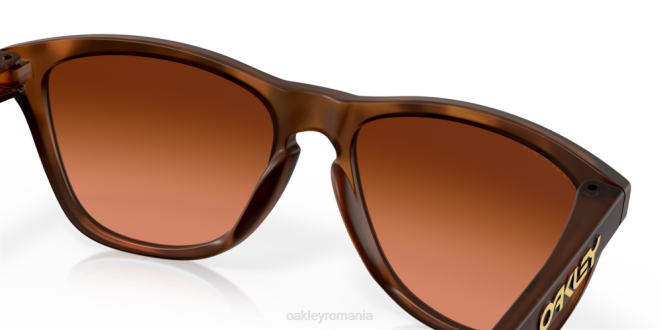 Oakley lentile prizm maro gradient, rama broasca testoasa maro mat piei de broasca (podenie joasa) ochelari 620J820
